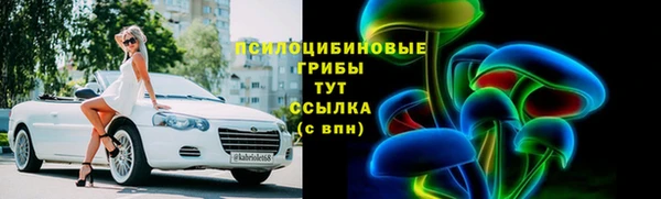 дживик Балахна