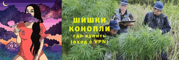 дживик Балахна
