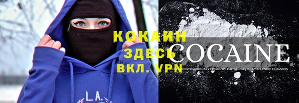 дживик Балахна