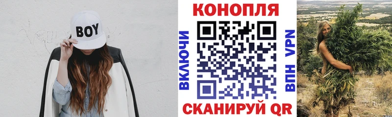 Купить  Остров  Шишки марихуана сатива 